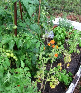 Too much detail can obscure the main point.