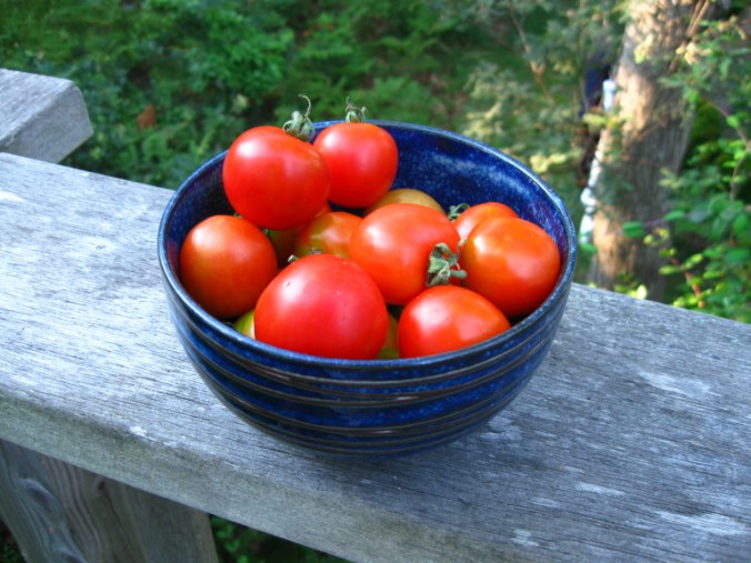 My writing may be a garden, but I'd rather eat tomatoes than words. 