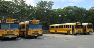 Four buses in waiting at the West Tisbury School